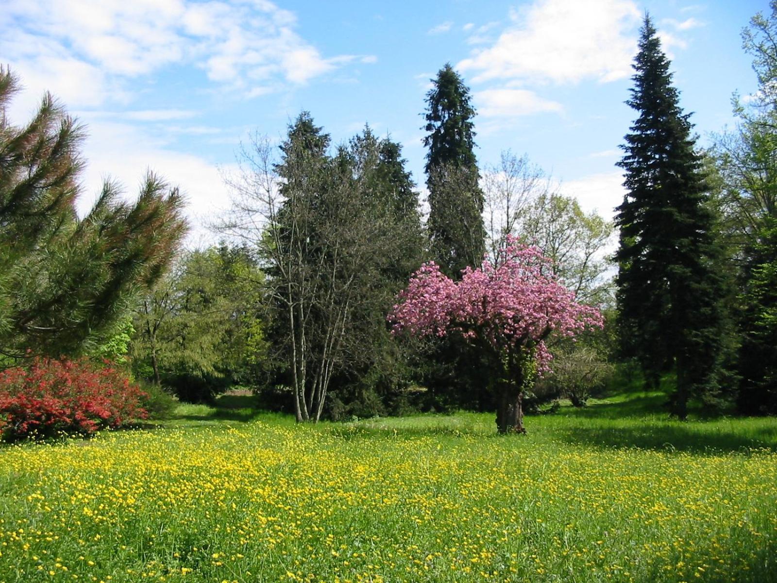Agriturismo Villa Gropella Valenza Kültér fotó